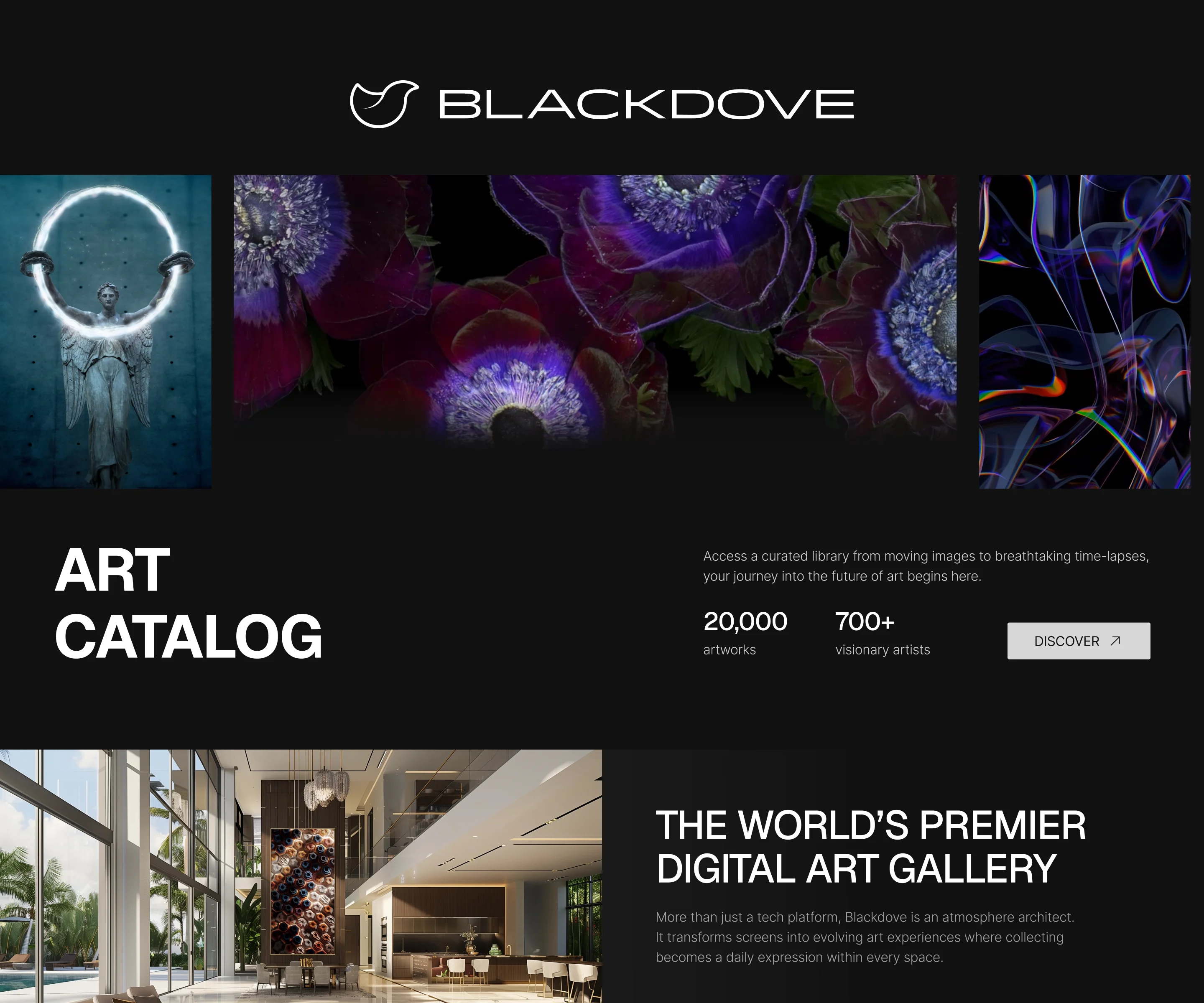 Blackdove Art Catalog page: the hero with the catalogue’s size, The World’s Premier Digital Art Gallery, collections and artists