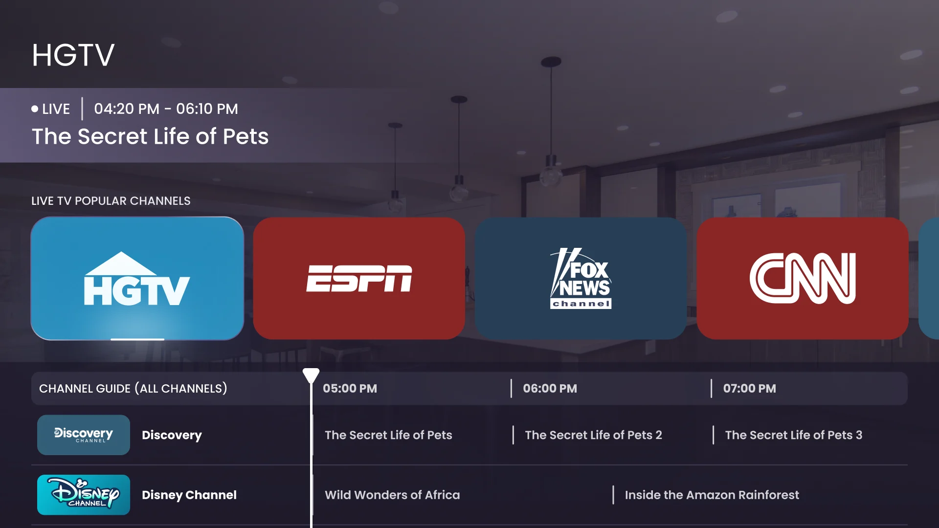 LifeVue Live TV: HGTV in the preview, a row of popular channels with HGTV selected and a channel guide with a timeline below
