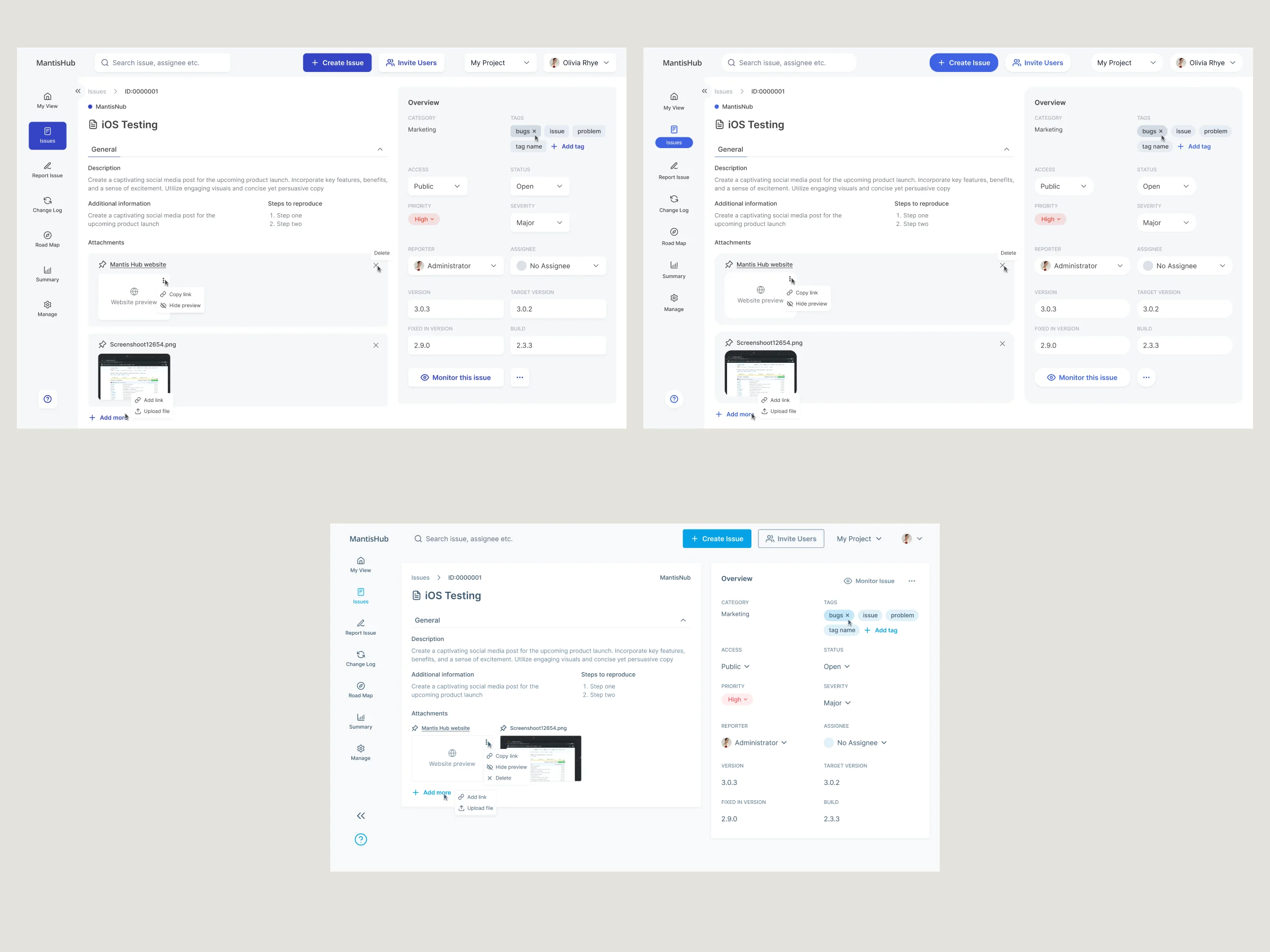 Three visual directions applied to the same issue page, differing in the menu, accent colour and layout of the overview