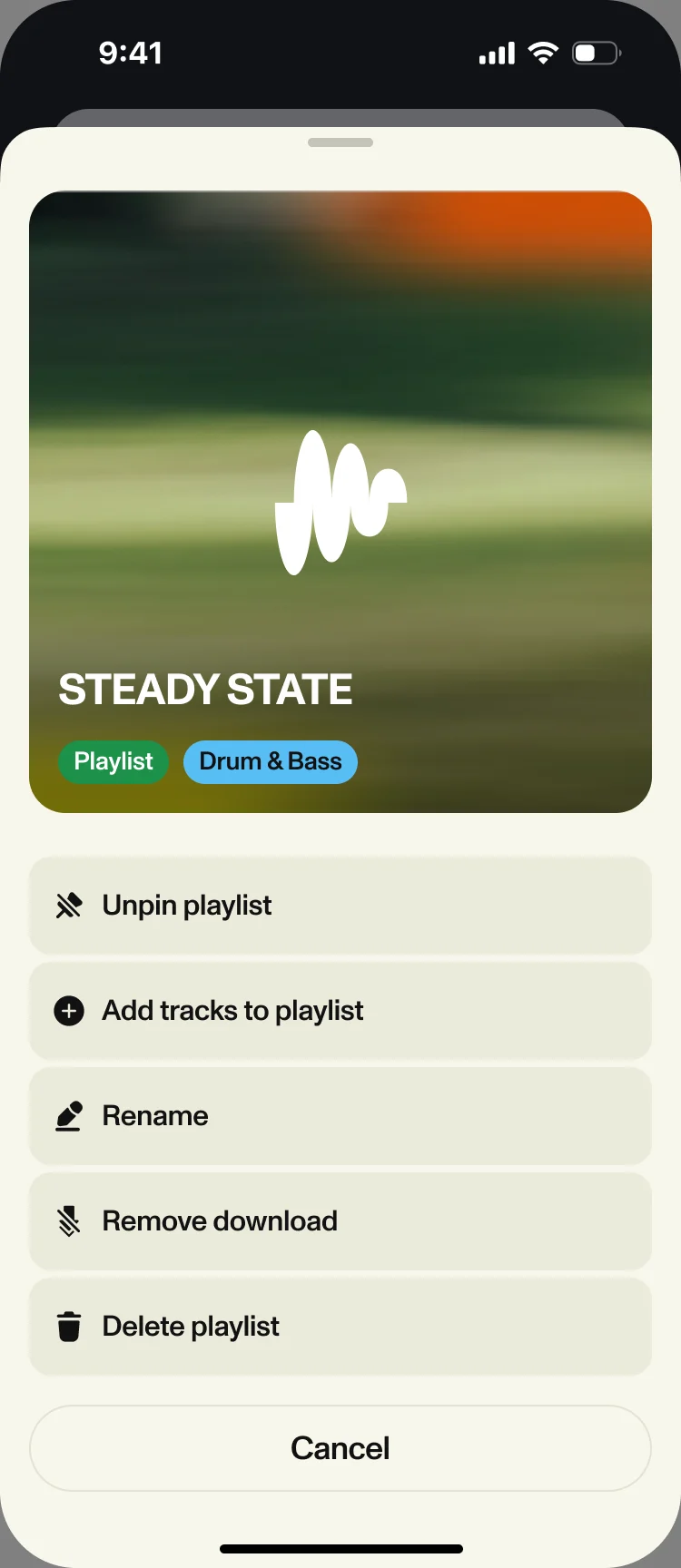 Playlist sheet for Steady State: Unpin playlist, Add tracks to playlist, Rename, Remove download and Delete playlist