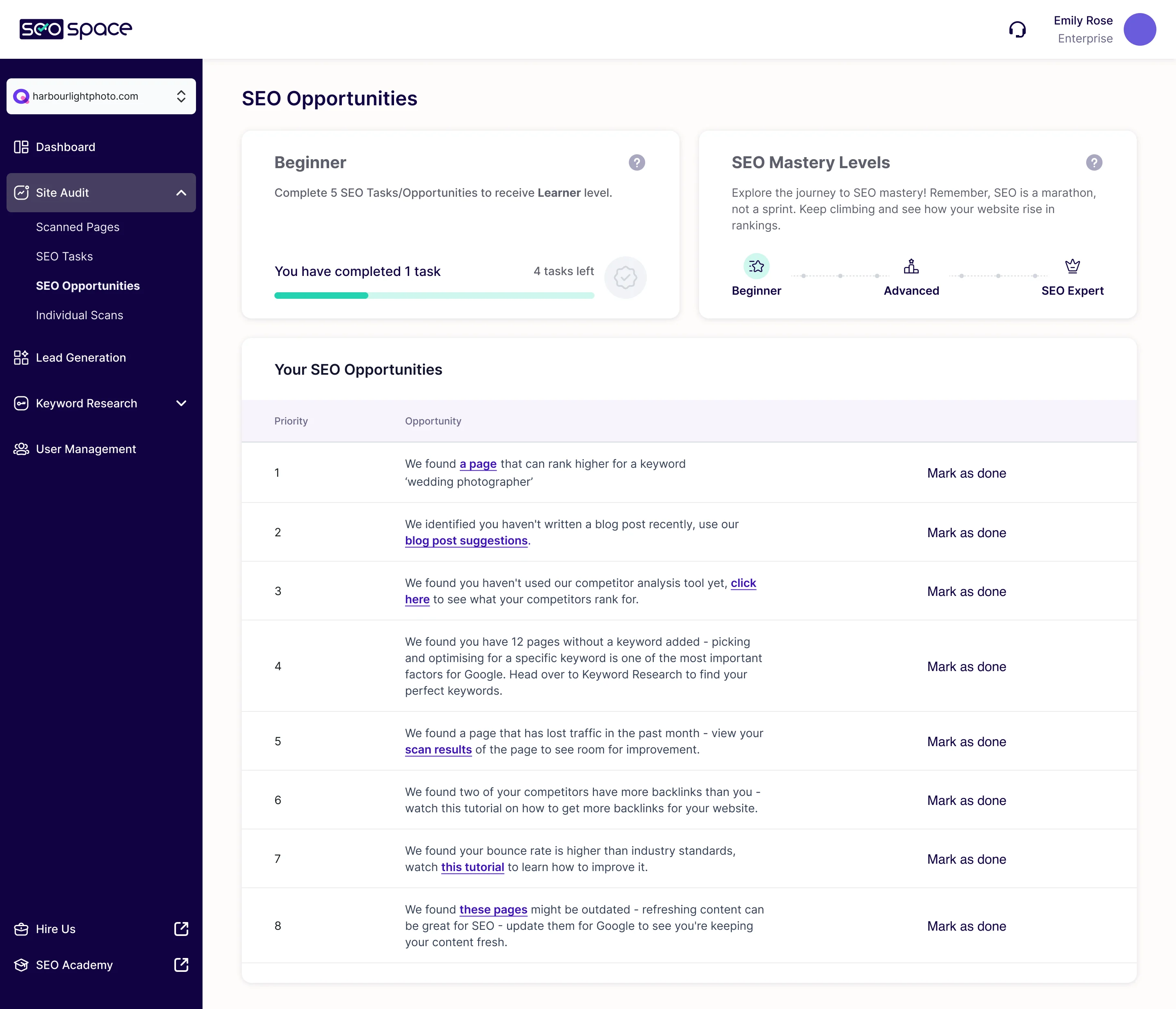 SEO Opportunities: the beginner level with four tasks left to the next one, the SEO mastery levels, and eight opportunities in priority order, each with a mark-as-done action