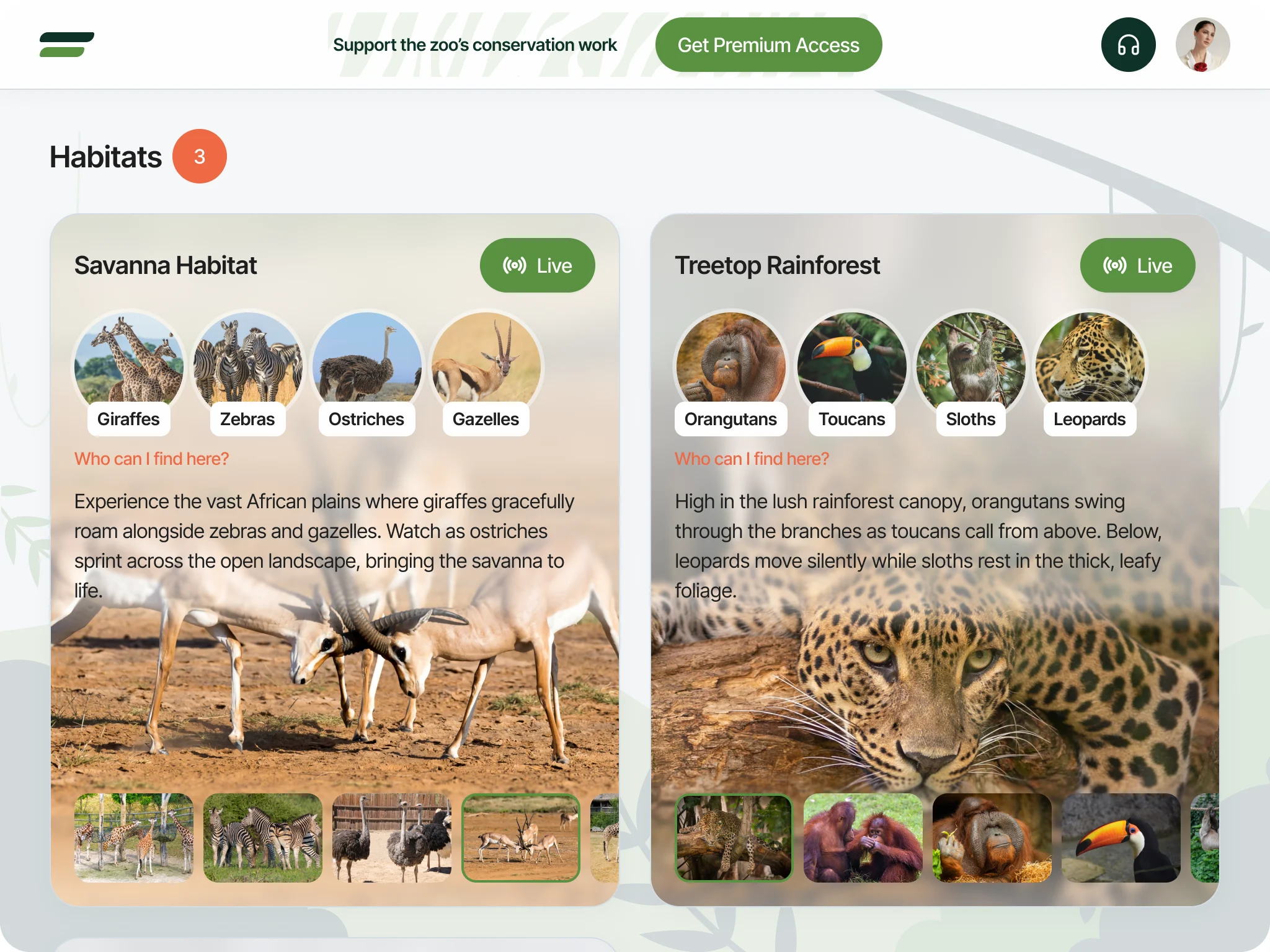 On a tablet, the Habitats page shows the Savanna Habitat and Treetop Rainforest cards side by side under a compact header