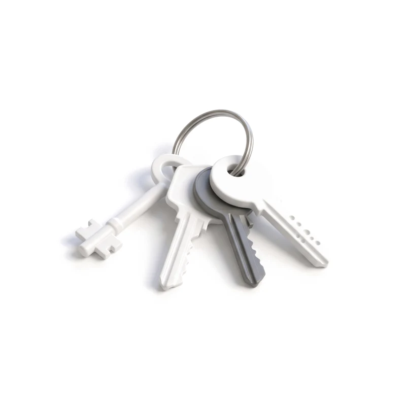 Three white ceramic keys on a brushed-steel ring, one key graphite.